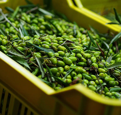 Žalios alyvuogės krepšyje