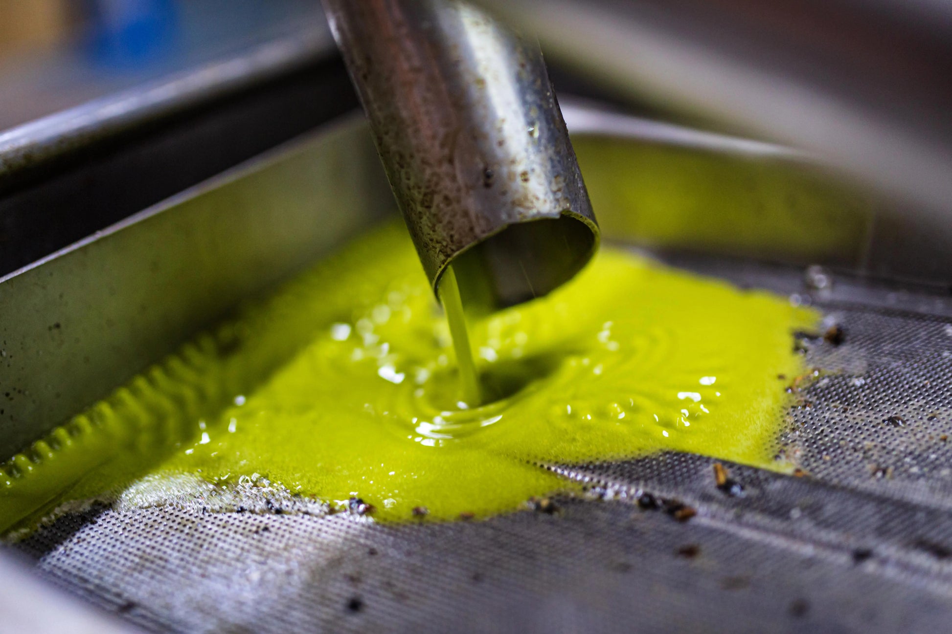 Teka alyvuogių aliejus